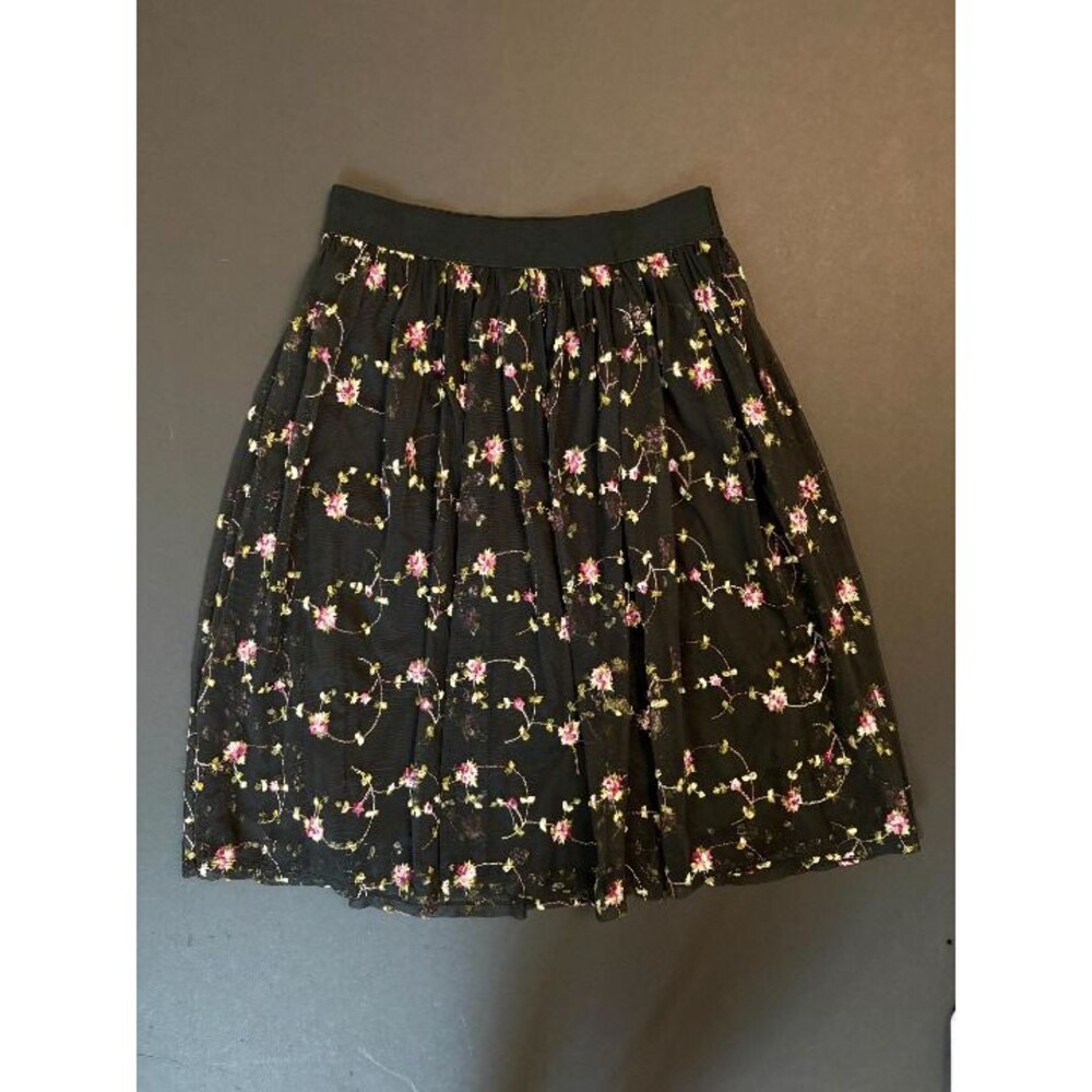 Whimsigoth Black Mesh Floral Embroidered A-Line Skirt Small Whimsical Gothic